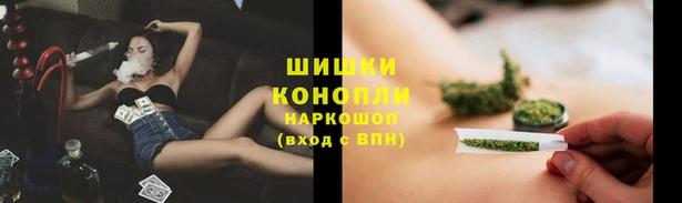 прущие грибы Алексин