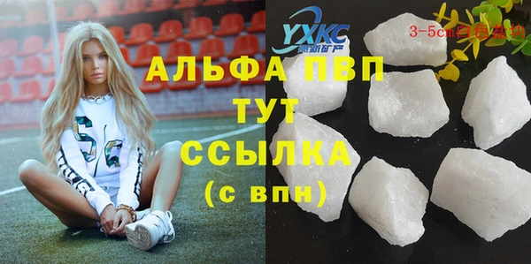 прущие грибы Алексин