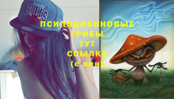 Альфа ПВП Алексеевка