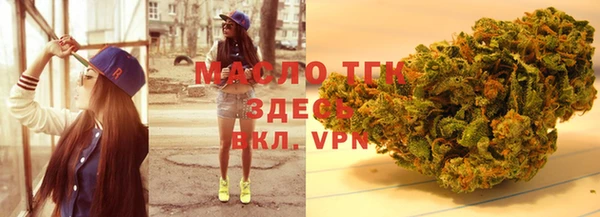 гидропоника Алзамай